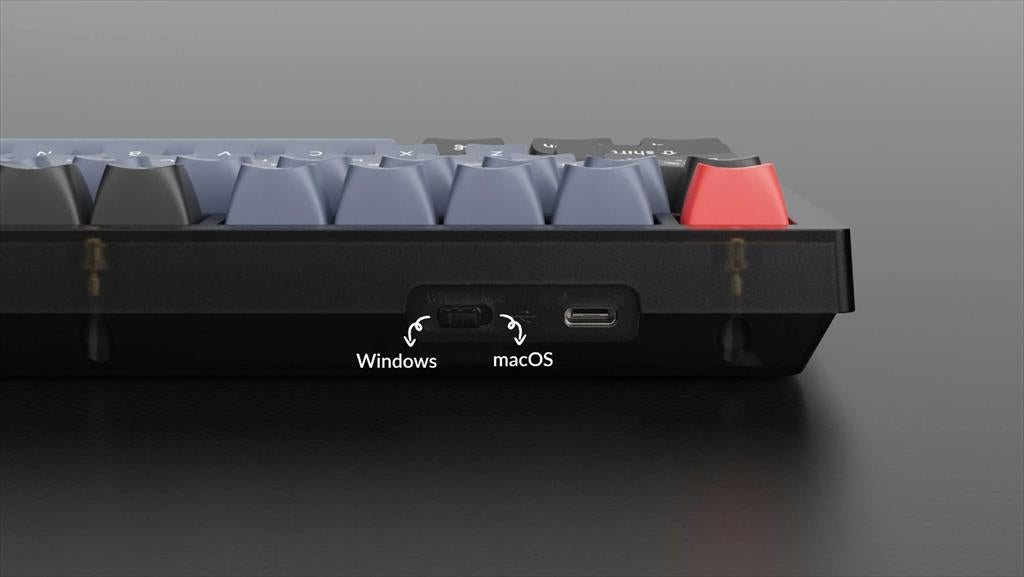 KEYBOARD MECHANICAL KEYCHRON V3 TKL QMK/VIA RGB Keychron K PRO Blue switch, Frosted Black (Translucent), w/knob, V3-C2