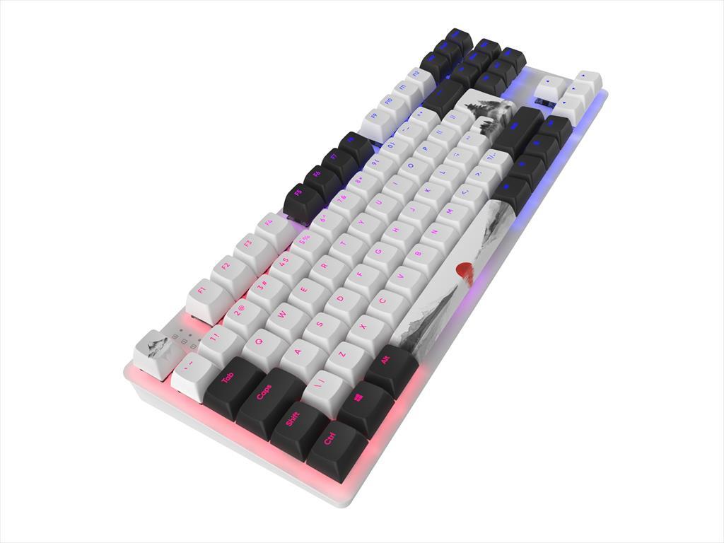 KEYBOARD MECHANICAL DARK PROJECT 87 FUJI TKL RGB linear G3ms Sapphire switch ANSI layout