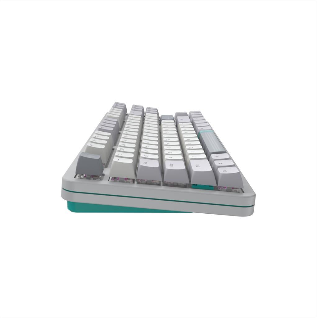 KEYBOARD MECHANICAL DARK PROJECT ALU87A DAYLIGHT TKL HS RGB linear mechanical switches G3ms Zircon, +4 switch +Keycap Language Set ANSI layout