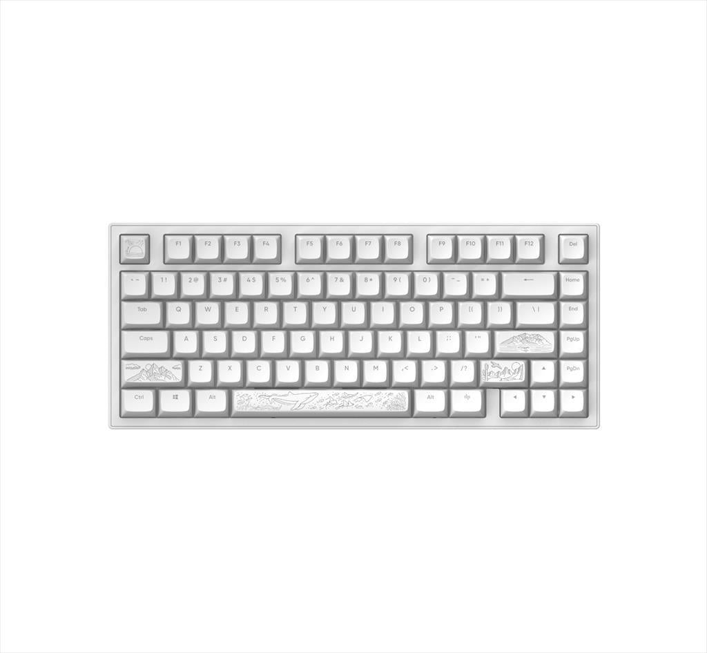 KEYBOARD MECHANICAL DARK PROJECT ALU81A TERRA NOSTRA WHITE HS RGB linear mechanical switches G3ms Moonstone- Pre-lubed, +4 switch, COILED CABLE ANSI layout