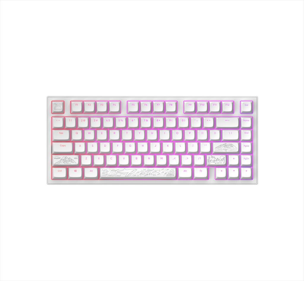 KEYBOARD MECHANICAL DARK PROJECT ALU81A TERRA NOSTRA WHITE HS RGB linear mechanical switches G3ms Moonstone- Pre-lubed, +4 switch, COILED CABLE ANSI layout