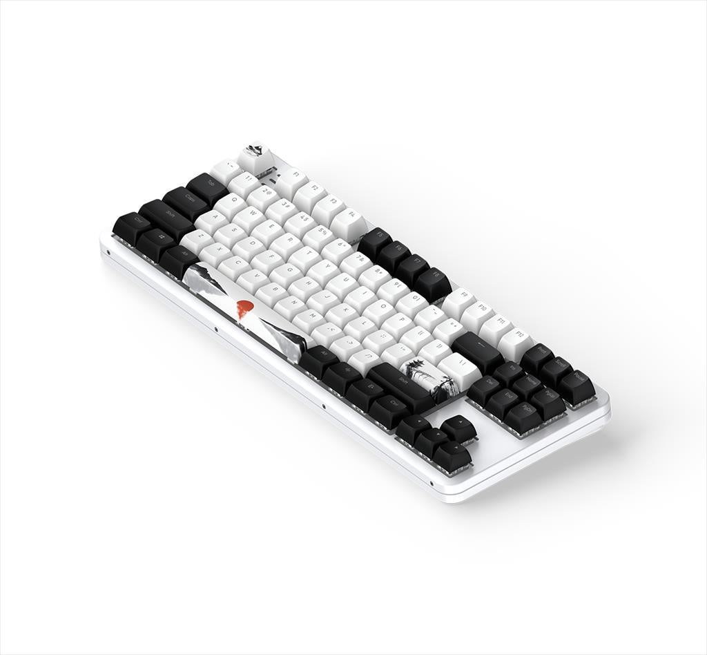 KEYBOARD MECHANICAL DARK PROJECT 87 FUJI V2 (Metal Skeleton) TKL RGB linear G3ms Sapphire switch ANSI layout