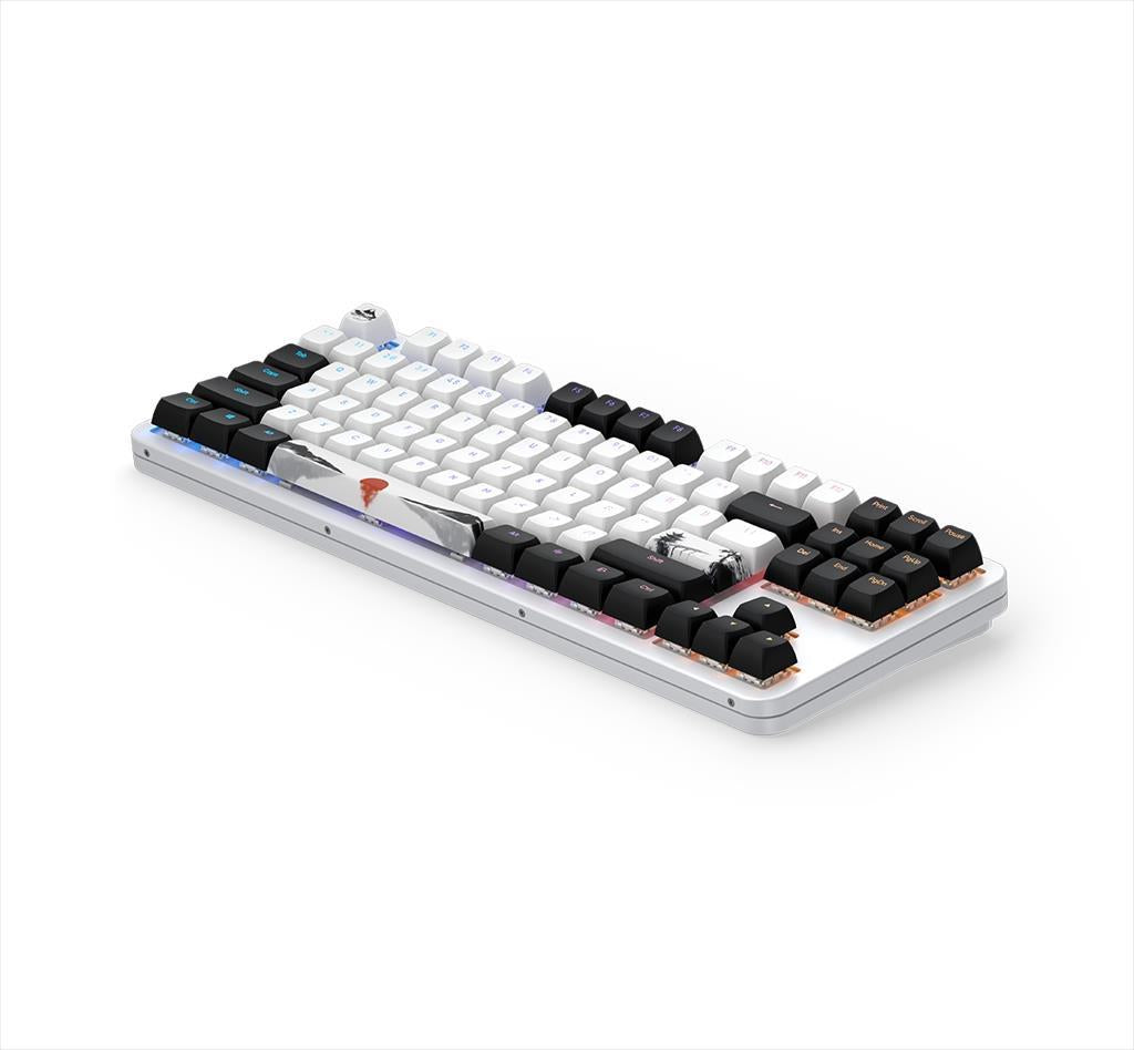 KEYBOARD MECHANICAL DARK PROJECT 87 FUJI V2 (Metal Skeleton) TKL RGB linear G3ms Sapphire switch ANSI layout