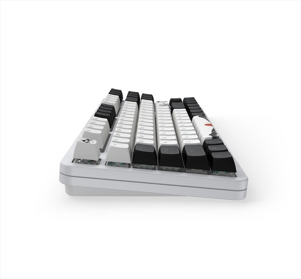 KEYBOARD MECHANICAL DARK PROJECT 87 FUJI V2 (Metal Skeleton) TKL RGB linear G3ms Sapphire switch ANSI layout