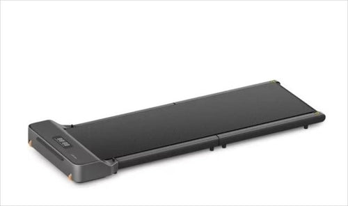 CE SMART KINGSMITH Z1 FOLD WALKING DEVICE 1.0 HP (1-6KM/H)