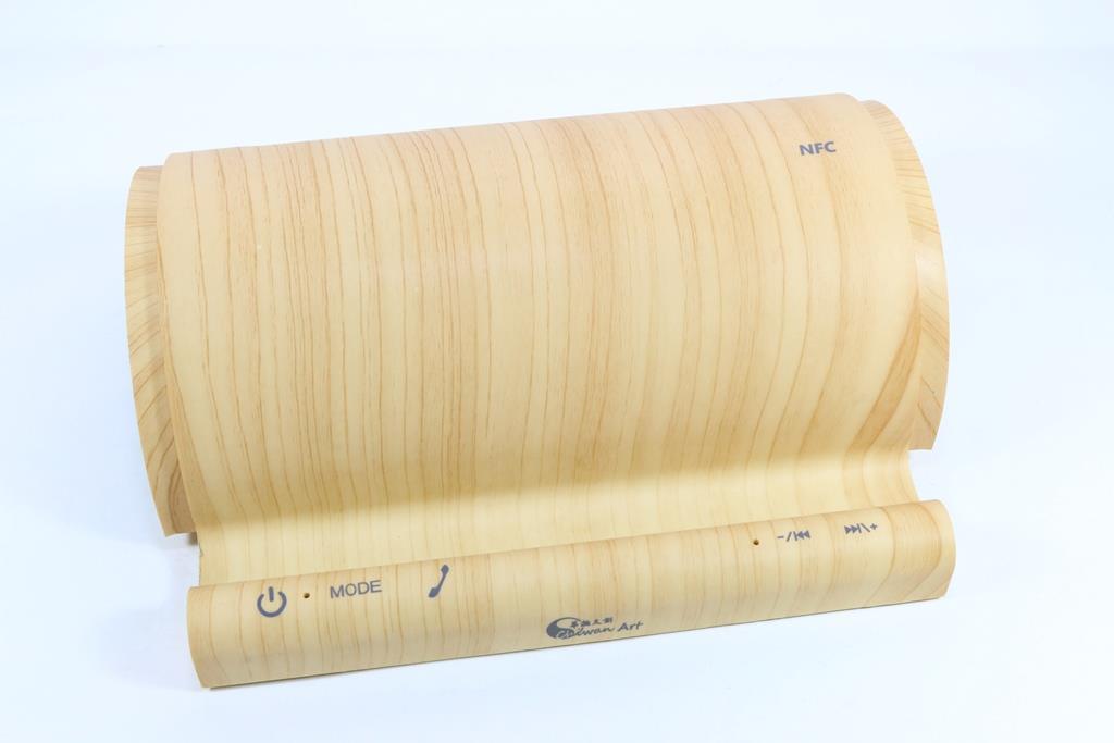SPEAKERS BLUETOOTH ZENCINE P, Type A & C charging ports, up to 15h battery, with stand